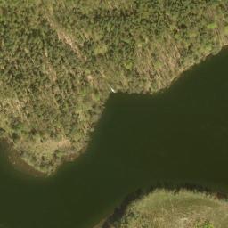 Satelita