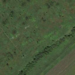 Satellite imagery of Салаир, KZ