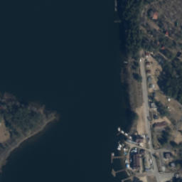 Satelita
