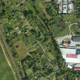 Satelita