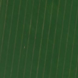 Satellite imagery of Totenberg, DE