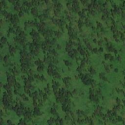 Satellite imagery of Верховье Кривого, RU