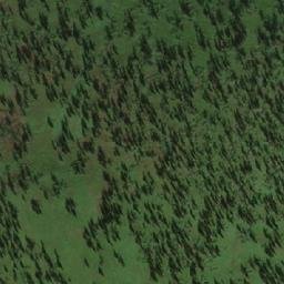 Satellite imagery of Старушкина, RU
