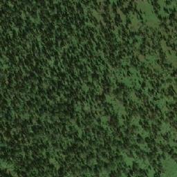 Satellite imagery of Старушкина, RU