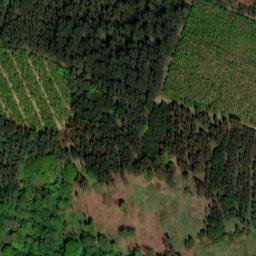 Satellite imagery of Bärenrodung, DE
