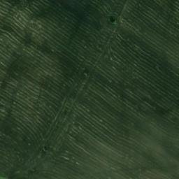 Satellite imagery of Терехино, KZ