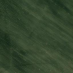 Satellite imagery of Терехино, KZ