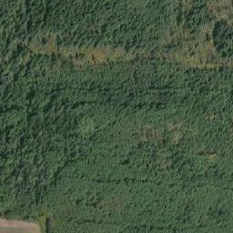 Satellite imagery of Bearhead Hill, CA
