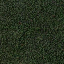 Satellite imagery of Nithi Mountain, CA