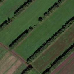 Satellite imagery of Зерносовхоз, KZ