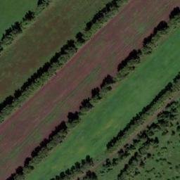 Satellite imagery of Зерносовхоз, KZ