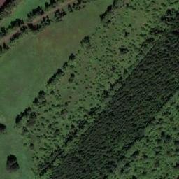 Satellite imagery of Зерносовхоз, KZ