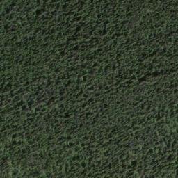 Satellite imagery of Uncha Mountain, CA
