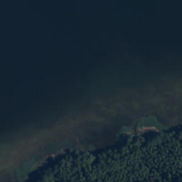 Satelita