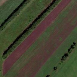 Satellite imagery of Зерносовхоз, KZ