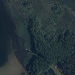 Satelita