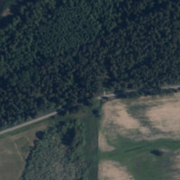 Satelita