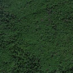 Satellite imagery of Mount Bowron, CA