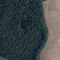 Satelita