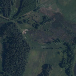 Satelita