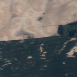 Satelita