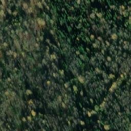 Satellite imagery of Осиновая Гора, RU