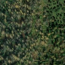 Satellite imagery of Осиновая Гора, RU