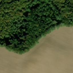 Satellite imagery of Buchenberg, DE