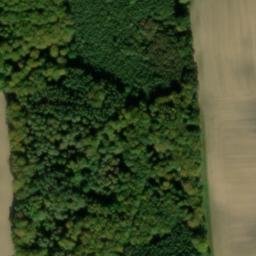 Satellite imagery of Buchenberg, DE