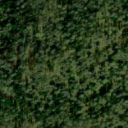 Satellite imagery of Березовый Исток, KZ