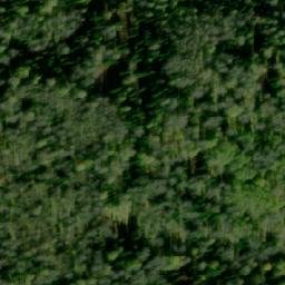 Satellite imagery of Березовый Исток, KZ