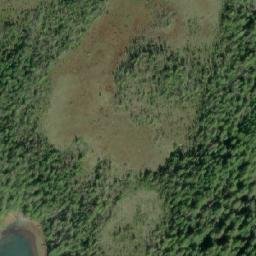 Satellite imagery of Cecil Point, CA