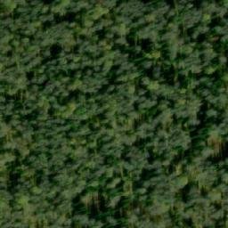 Satellite imagery of Березовый Исток, KZ