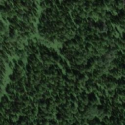 Satellite imagery of Верховье Пихтового, RU