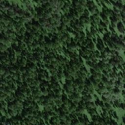 Satellite imagery of Верховье Пихтового, RU