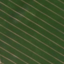 Satellite imagery of Schipmannsberg, DE