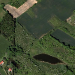 Satelita