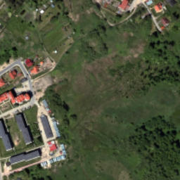 Satelita
