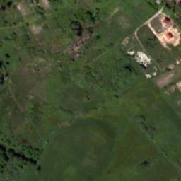 Satelita