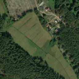 Satelita