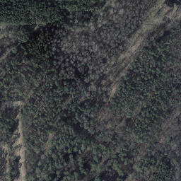 Satelita