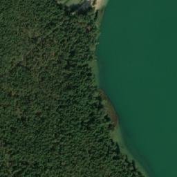 Satelita