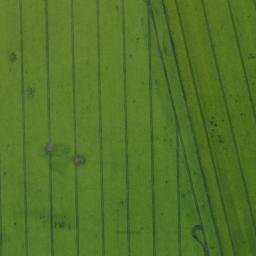Satellite imagery of Mühlenberg, DE