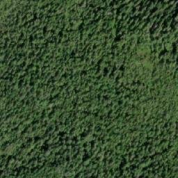 Satellite imagery of Mount Elwin, CA