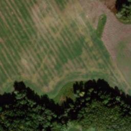 Satellite imagery of Tannenberg, DE
