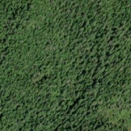 Satellite imagery of Mount Elwin, CA