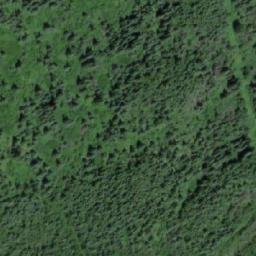 Satellite imagery of Mount Tabor, CA