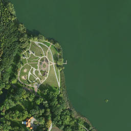Satelita