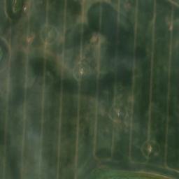 Satellite imagery of Heidberg, DE