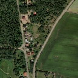 Satelita